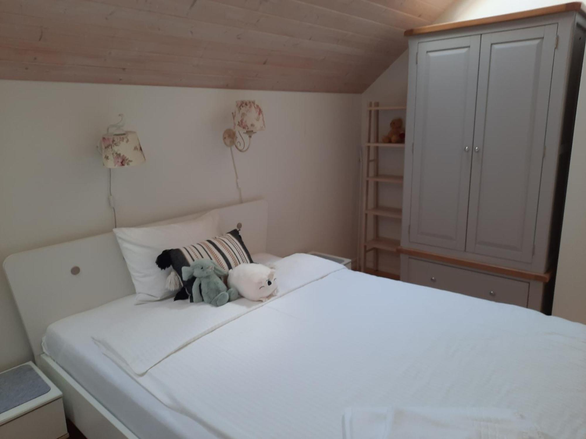 Lake & Library Boutique Hotel Ignalina Buitenkant foto